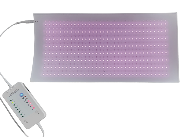 huelight abdomen Photobiomodulation Irradiator